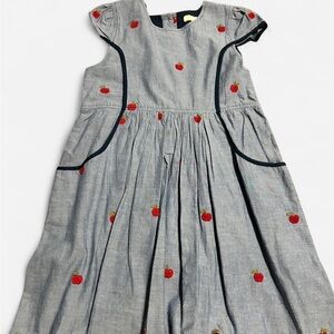 Pink Chicken Gray Dress with Red Apple Details